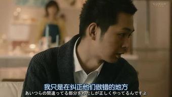日本一dv夫在线播放,DV夫在线播放背后的真相与反思