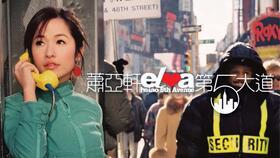 第五大街视频,繁华都市中的时尚生活画卷