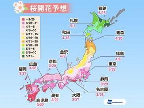 权威日本名字,揭秘日本权威名字背后的文化内涵与传承