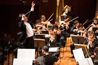 音乐 指挥 视频,视频中的视觉盛宴