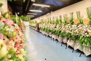 花篮网最新爆料视频,最新爆料视频深度解析