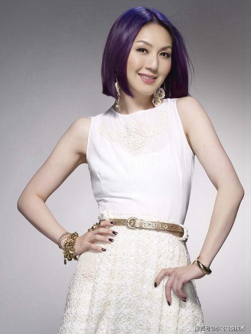 香港女明星t,璀璨星途与魅力人生