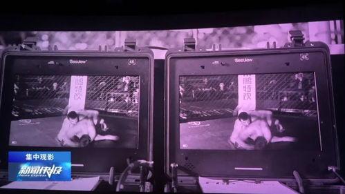 生活与命运在线播放,生活与命运在线播放背后的故事