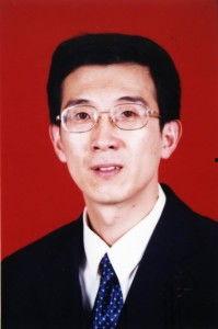 明星杨贞,星光璀璨的演艺之路