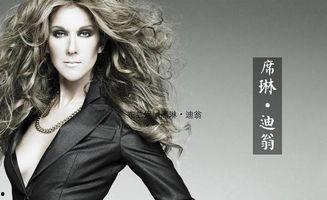 美国过气明星,今朝过气明星的转型之路