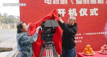 电影热烈爆料视频播放,幕后故事与精彩片段抢先看