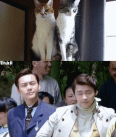 明星励志动图,明星励志动图背后的奋斗故事