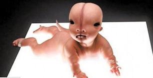 人兽av合法吗,伦理与法律的冲突与平衡